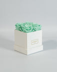 Revitalising mint green roses beaming with energising and peaceful colours 