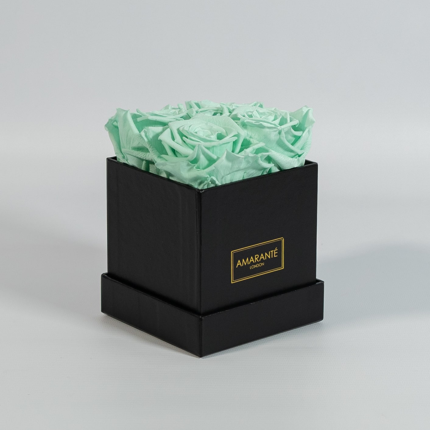 Revitalising mint green roses exhibited in a sleek black box 