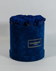 Luxurious royal blue Roses in a monochromatic blue box 