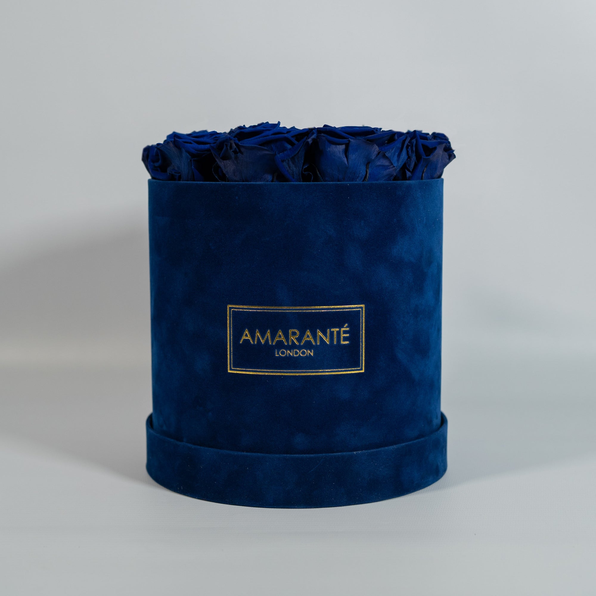 Heart-warming royal blue Roses, the perfect gift for an older sibling. 