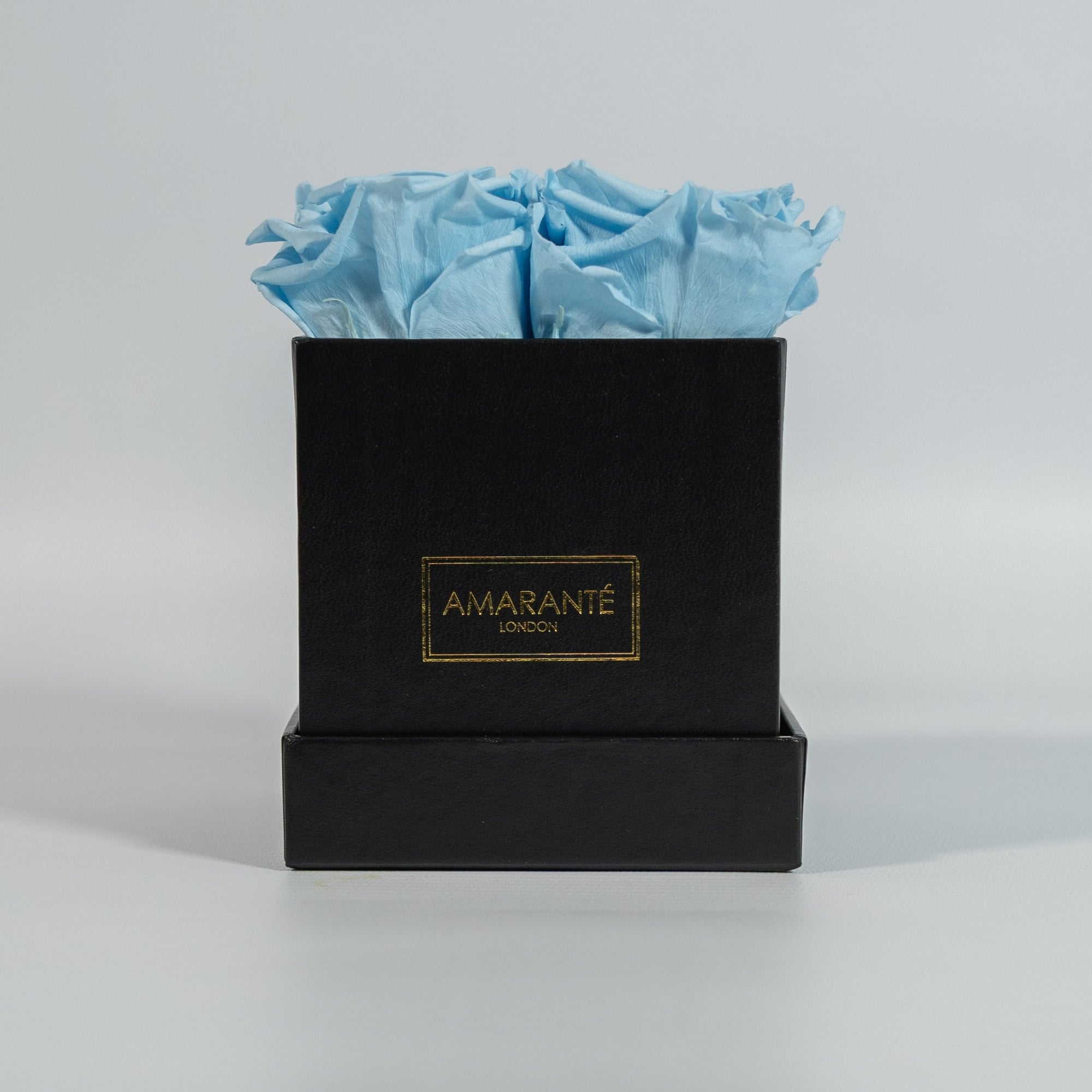 Cool light blue roses photographed in a sophisticated black box 