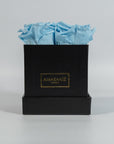 Cool light blue roses photographed in a sophisticated black box 