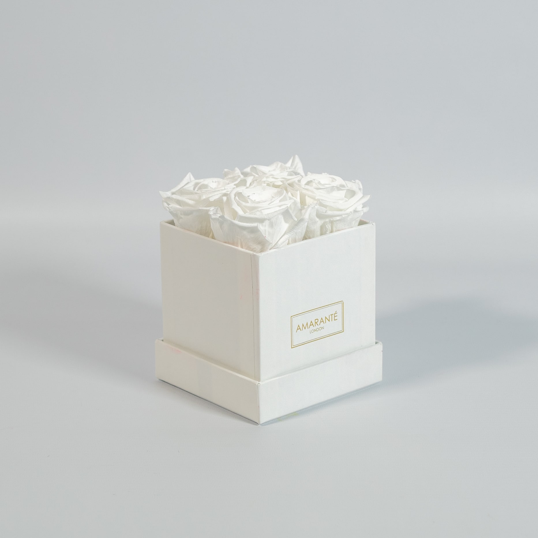 Captivating white roses encompassed in a delicate white box