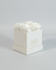 Captivating white roses encompassed in a delicate white box
