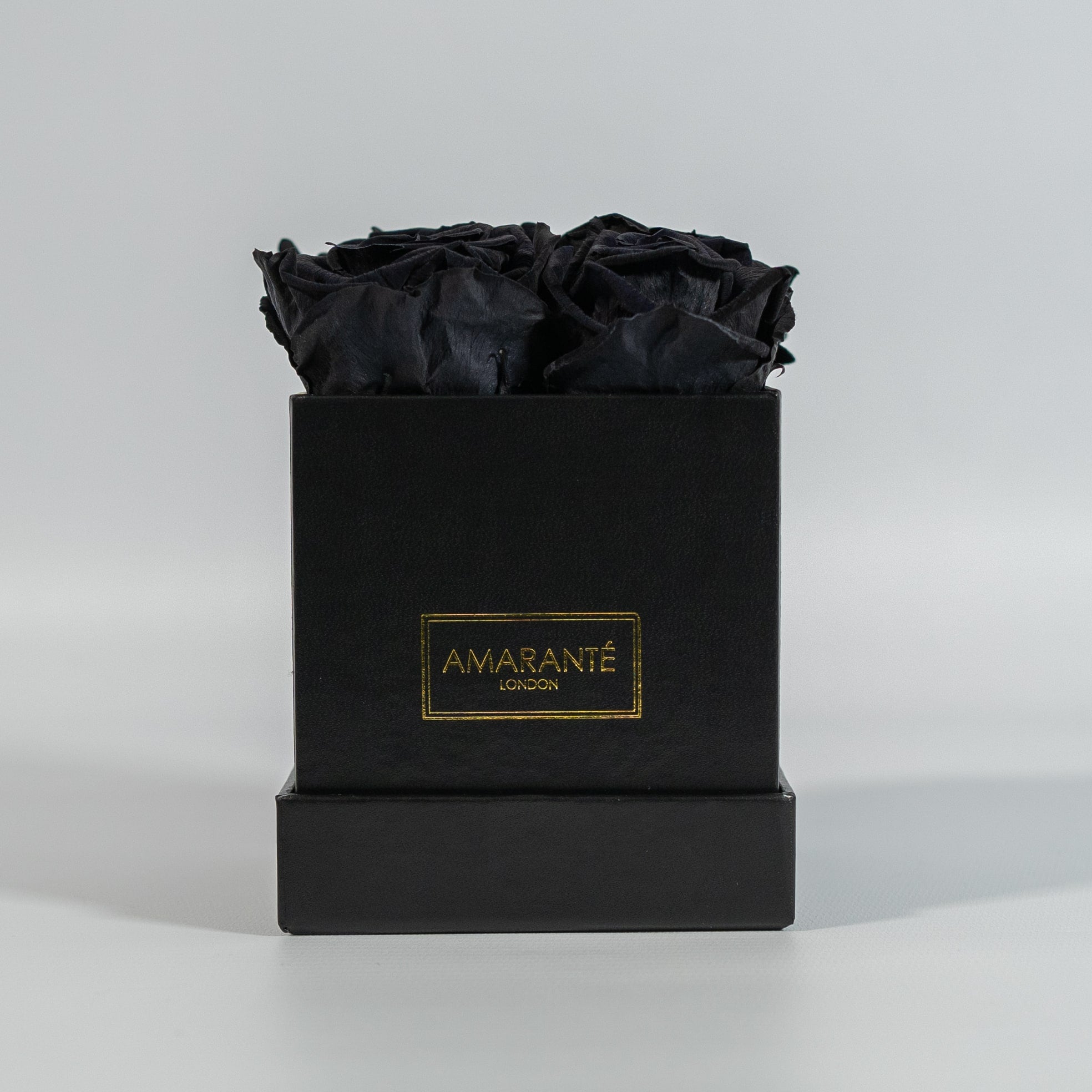 Botanical black roses encompassed in a monochromatic black box 