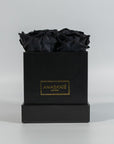 Botanical black roses encompassed in a monochromatic black box 