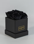 Bold black roses expressing luxury and elegance 