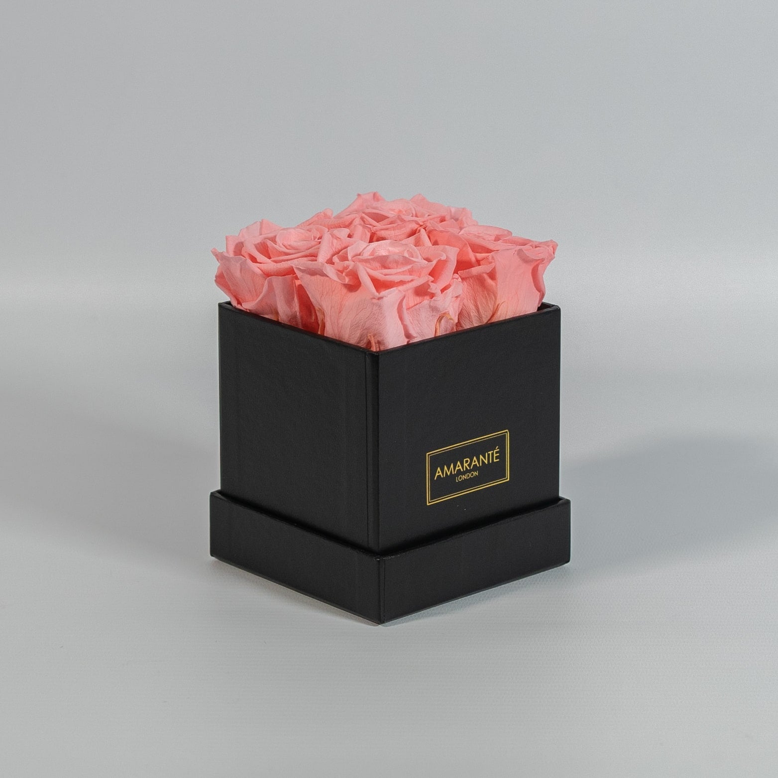 Delicate light pink roses entrenched in a bold black box 