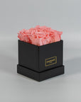 Delicate light pink roses entrenched in a bold black box 