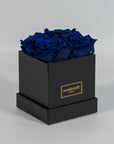 Magical royal blue roses expressing protection and trust 