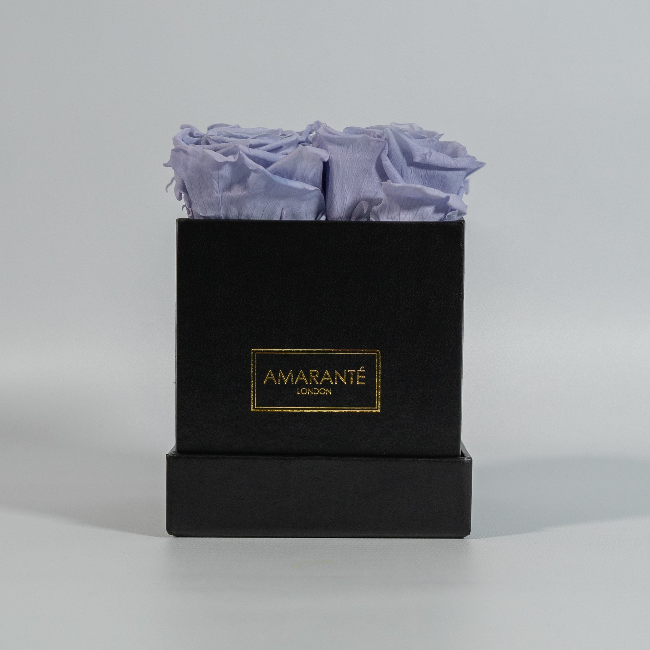 Artful lavender roses exhibited in a sleek black box 