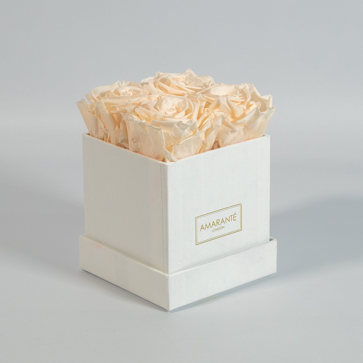 Chic champagne roses featured in a majestic white box 