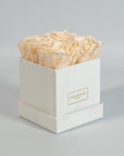 Chic champagne roses featured in a majestic white box 