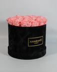 Tender light pink Roses imbedded in a bold black box 