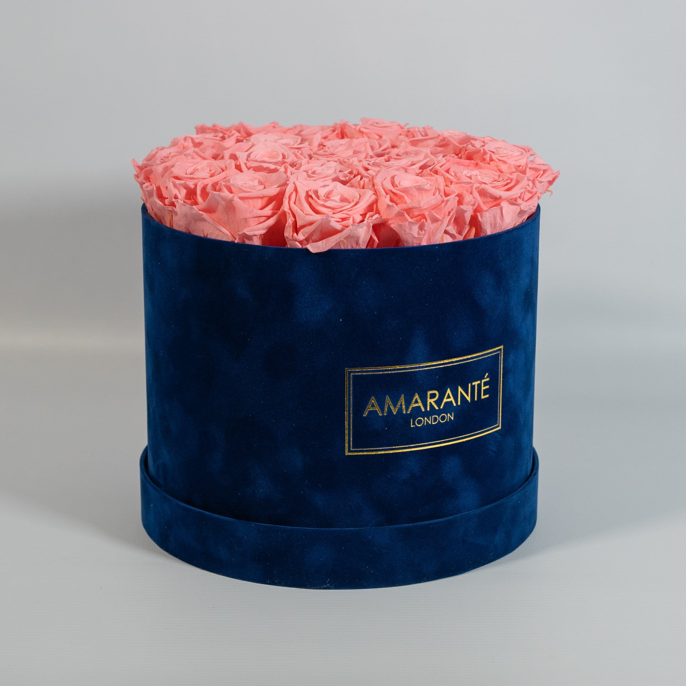 Delicate light pink Roses encompassed in a dark blue box 