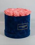 Delicate light pink Roses encompassed in a dark blue box 