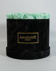 Majestic mint green Roses encompassed in a dreamy black box 
