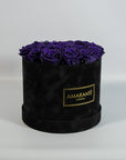 Luxurious dark purple Roses in a modish black box 