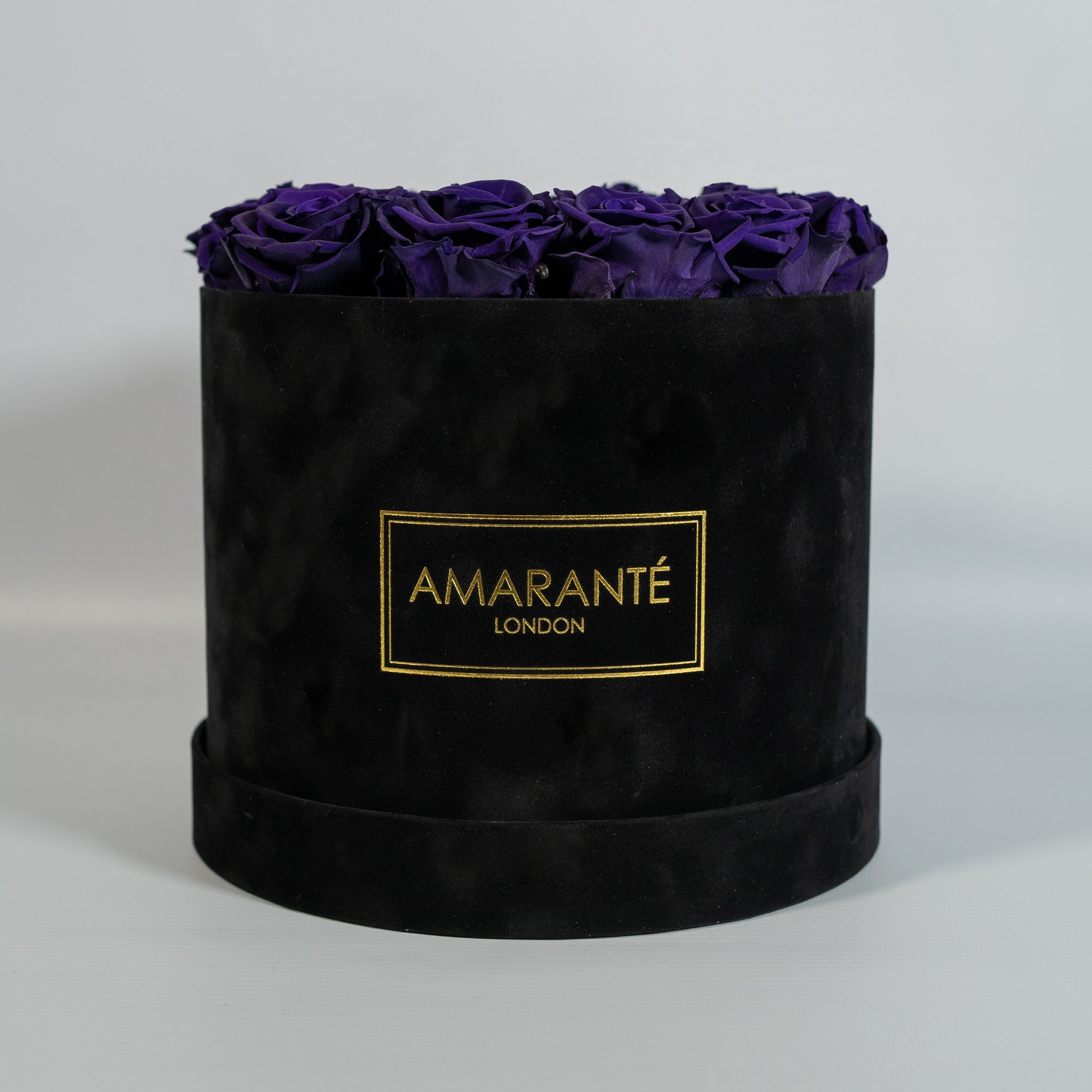 Tranquilising dark purple Roses implying wisdom, creativity, and magic