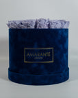 Gorgeous lavender Roses photographed in a stylish blue box 