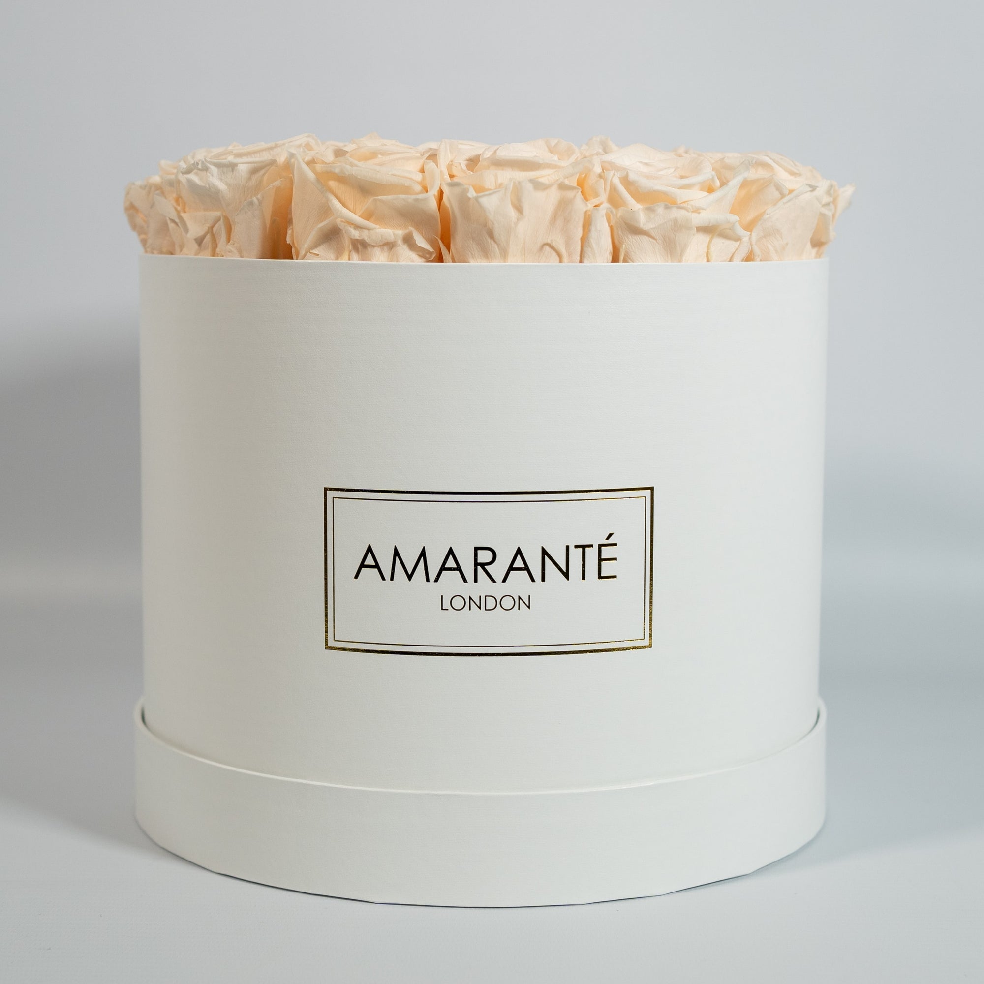 Stylish champagne Roses suggesting excitement, modesty, and class.  