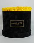 Delightful yellow Roses delicately imbedded in an idyllic black box 