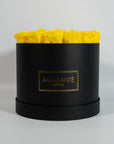 Stunning yellow Roses in a vogueish black box, representing joy and happiness 
