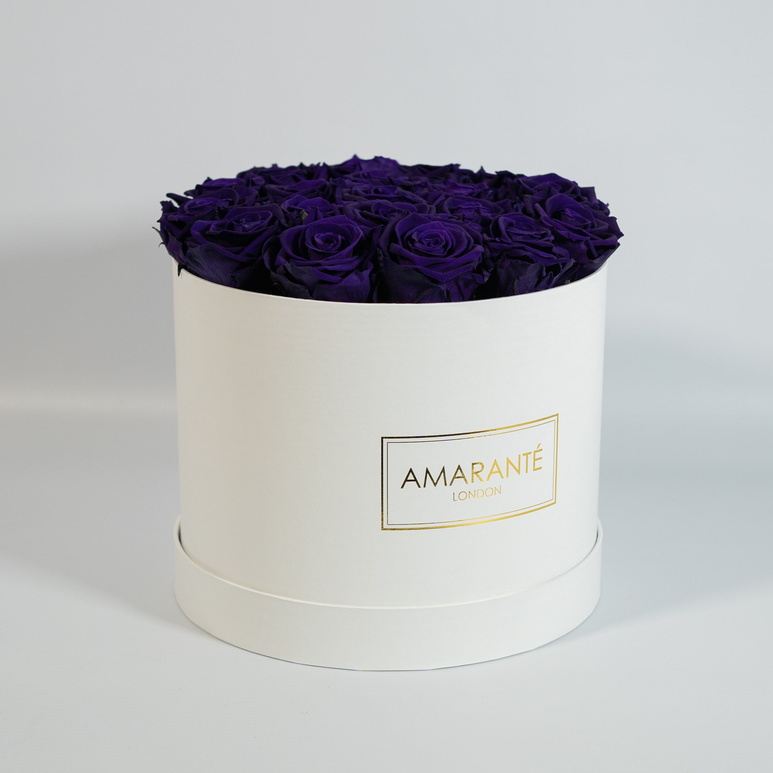 Artful dark purple Roses expressing wisdom, protection, and security. 