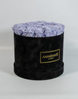 Spring-time inspired lavender Roses in a sophisticated black box 