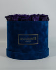 Alluring dark purple roses in a divine blue large and suede box 