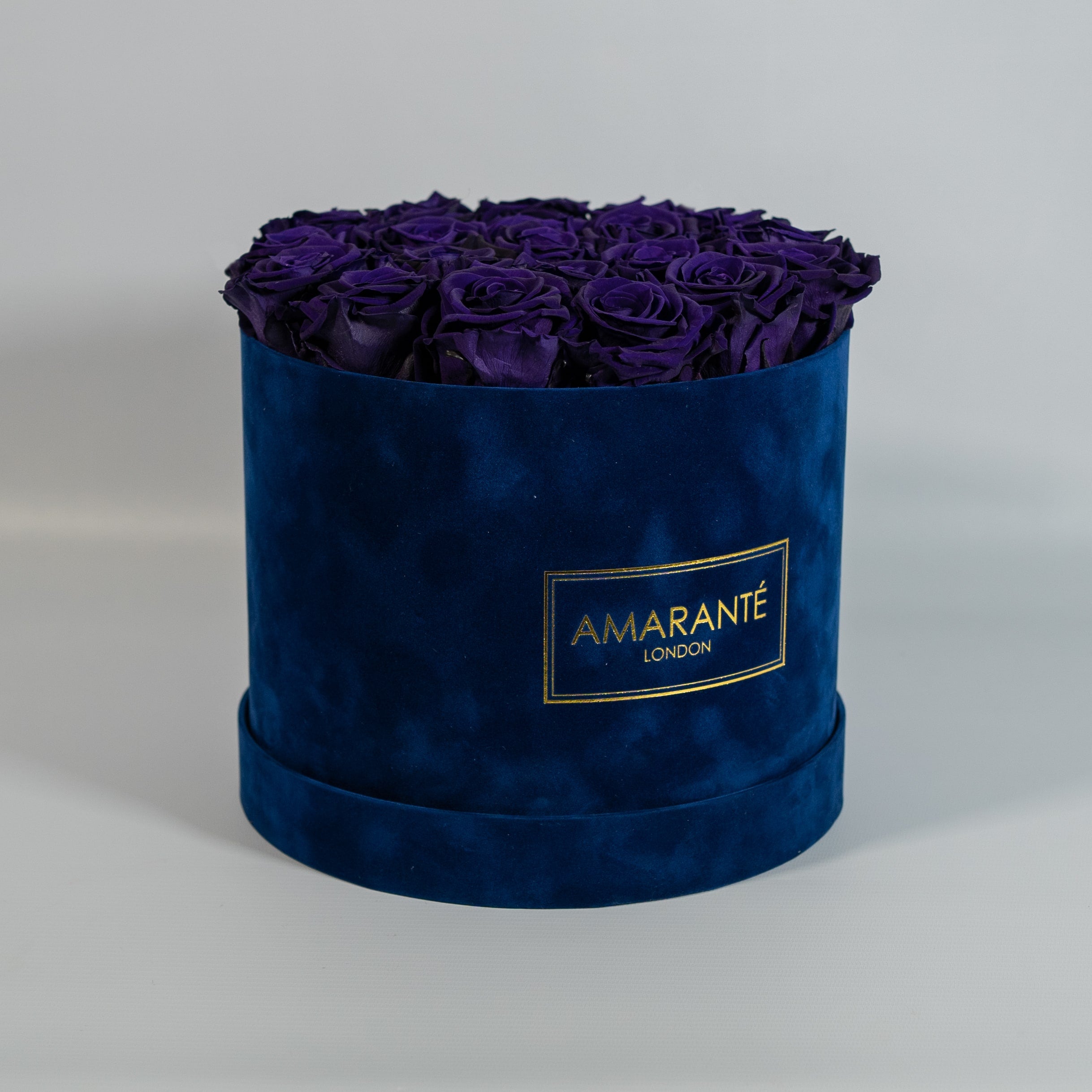 Idyllic dark purple roses expressing wisdom, creativity, and magic 