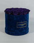 Idyllic dark purple roses expressing wisdom, creativity, and magic 