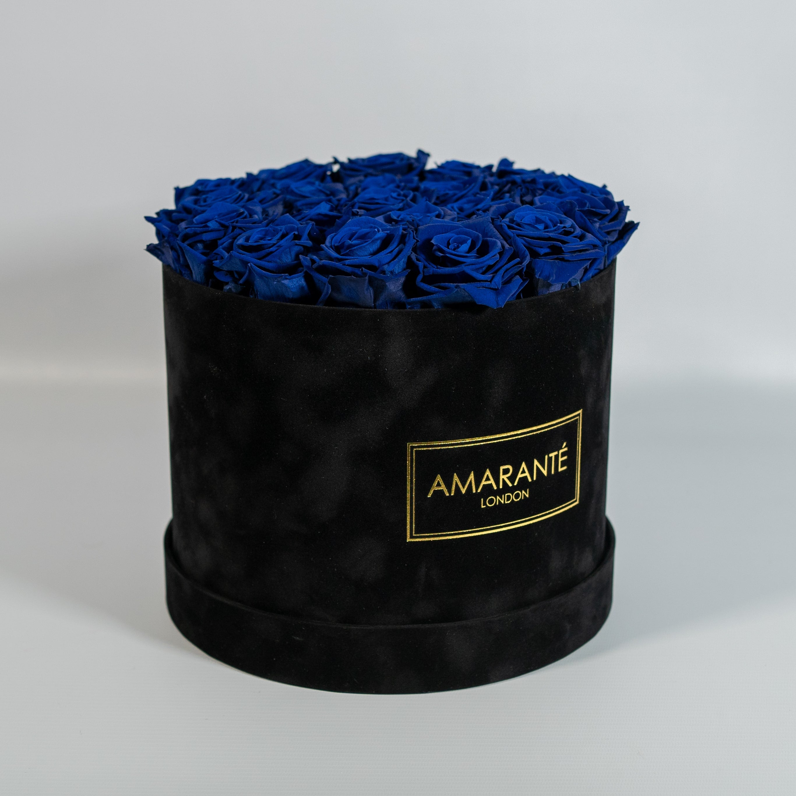 Luxurious royal blue Roses photographed in a trendy black box 