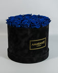 Luxurious royal blue Roses photographed in a trendy black box 