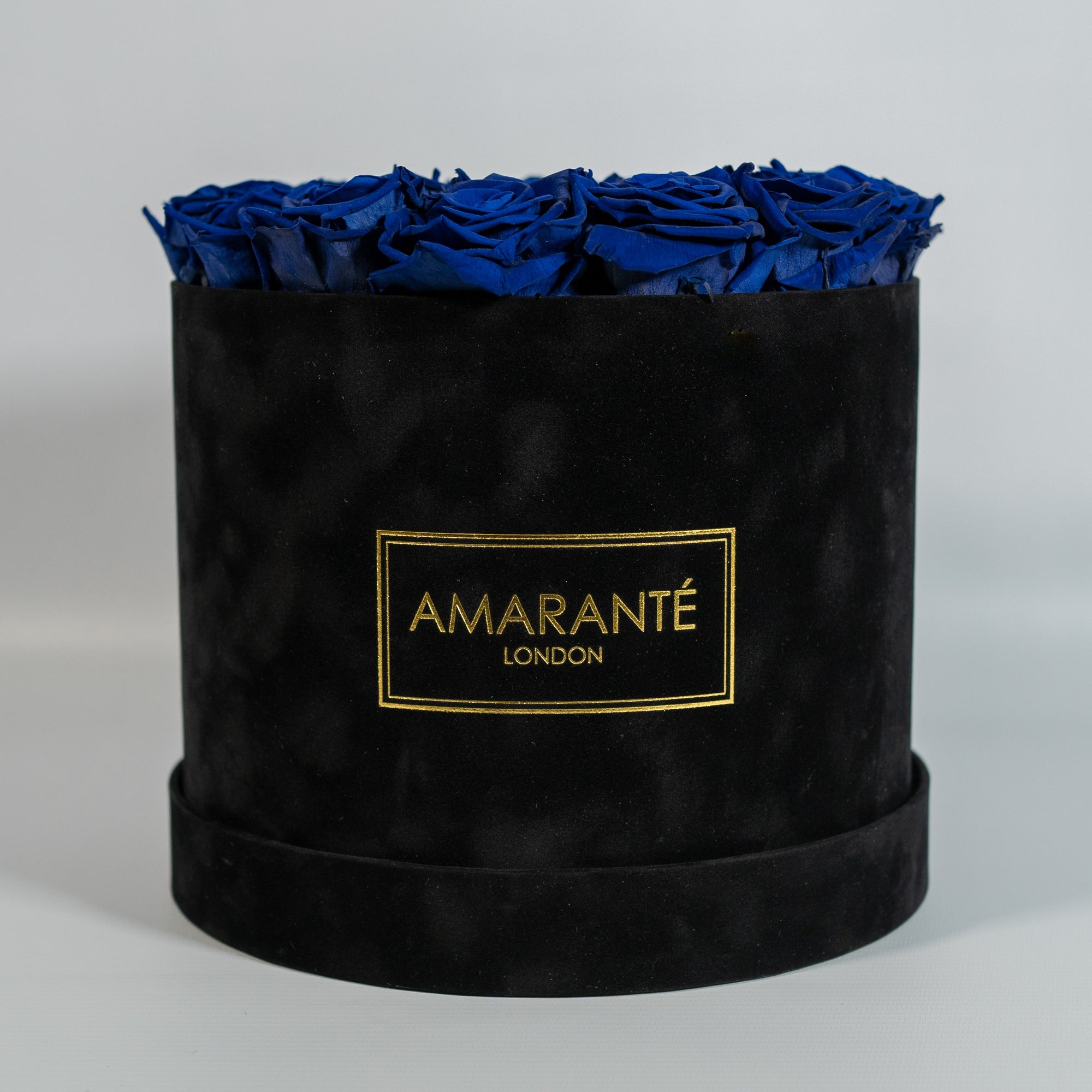 Magnificent royal blue Roses representing royalty, luxury, and protection.  