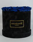 Magnificent royal blue Roses representing royalty, luxury, and protection.  