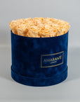 Warm peach Roses included in a magical blue box 