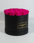 Festive hot pink Roses in a groovy black box 
