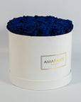 Captivating royal blue Roses implying protection, luxury, and security. 