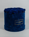 Gorgeous royal blue Roses implying protection and healing  