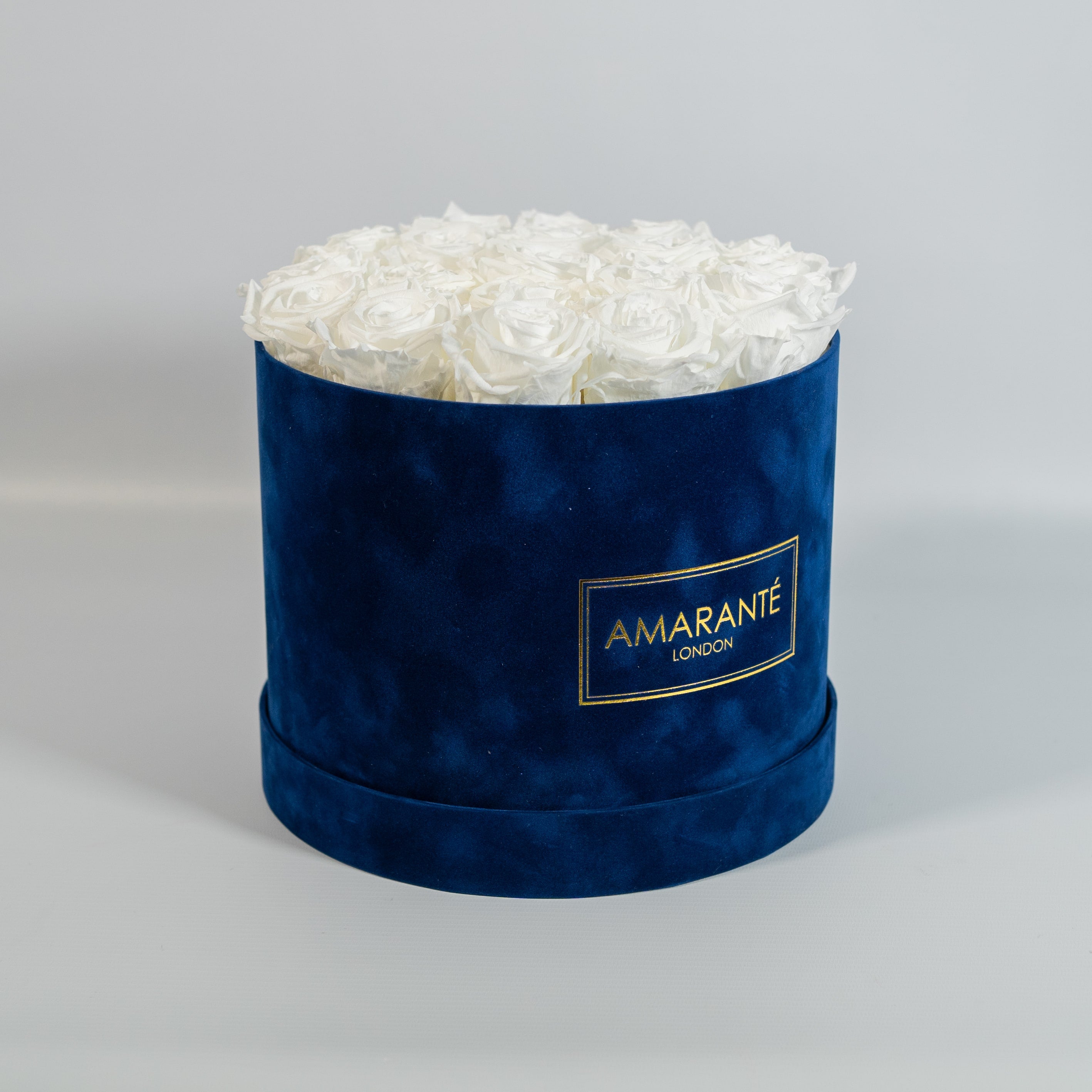 Divine white Roses in a dapper blue round box 