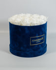 Divine white Roses in a dapper blue round box 