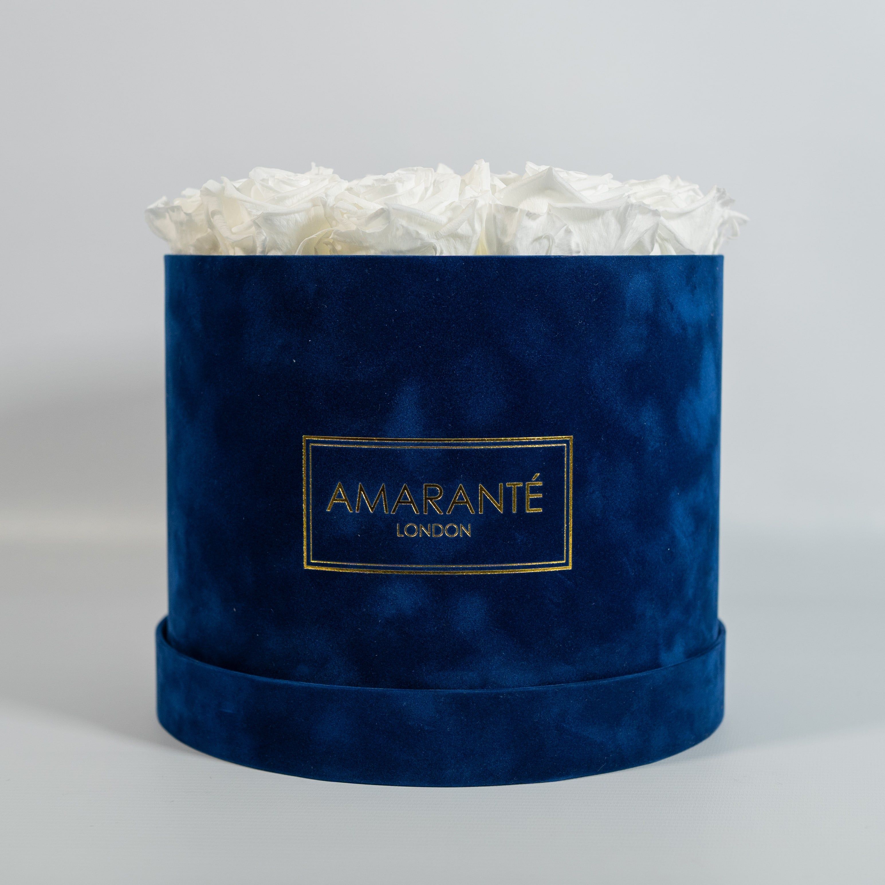 Magical white Roses encompassed in a stylish blue box 