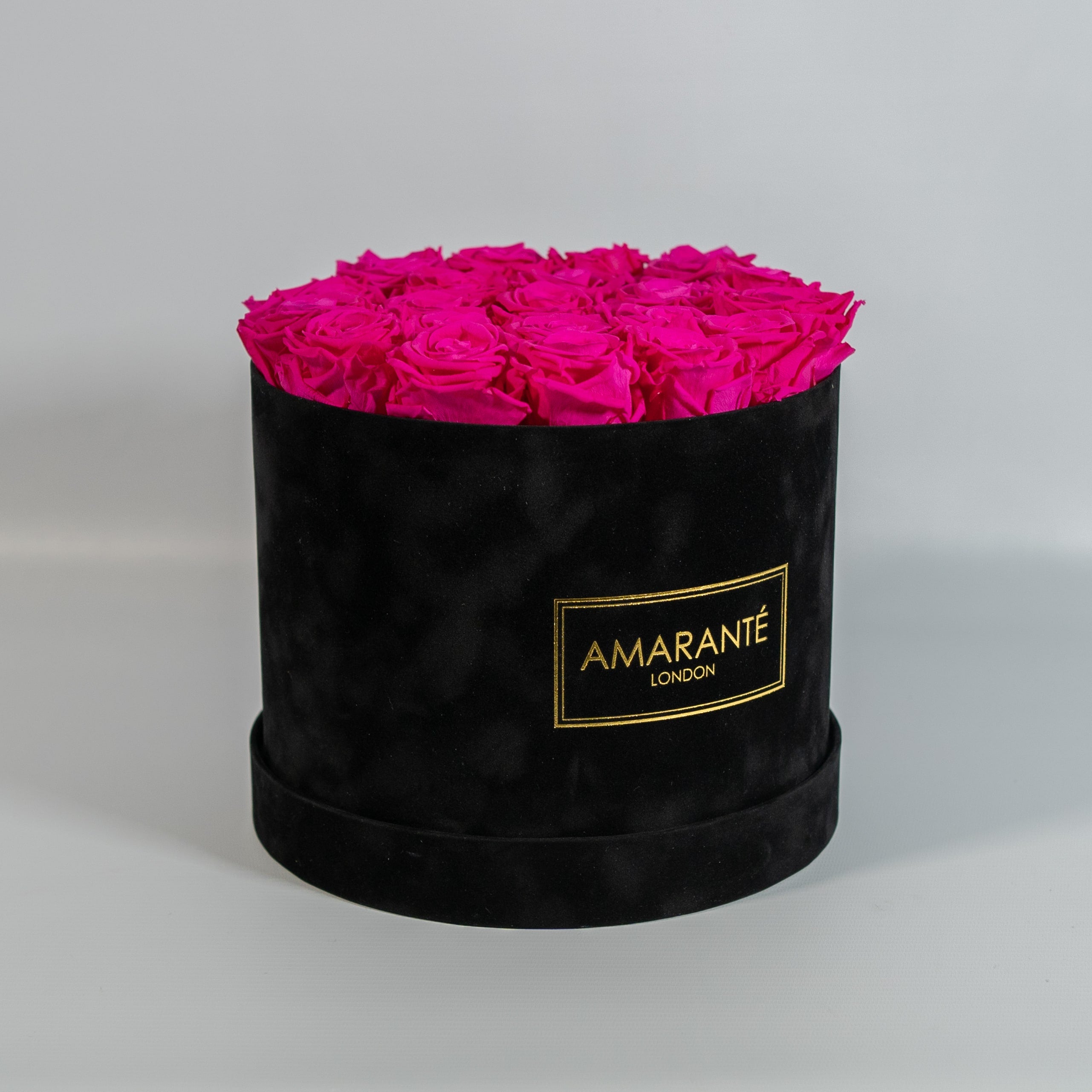 Distinctive hot pink Roses implying beauty, love, and care