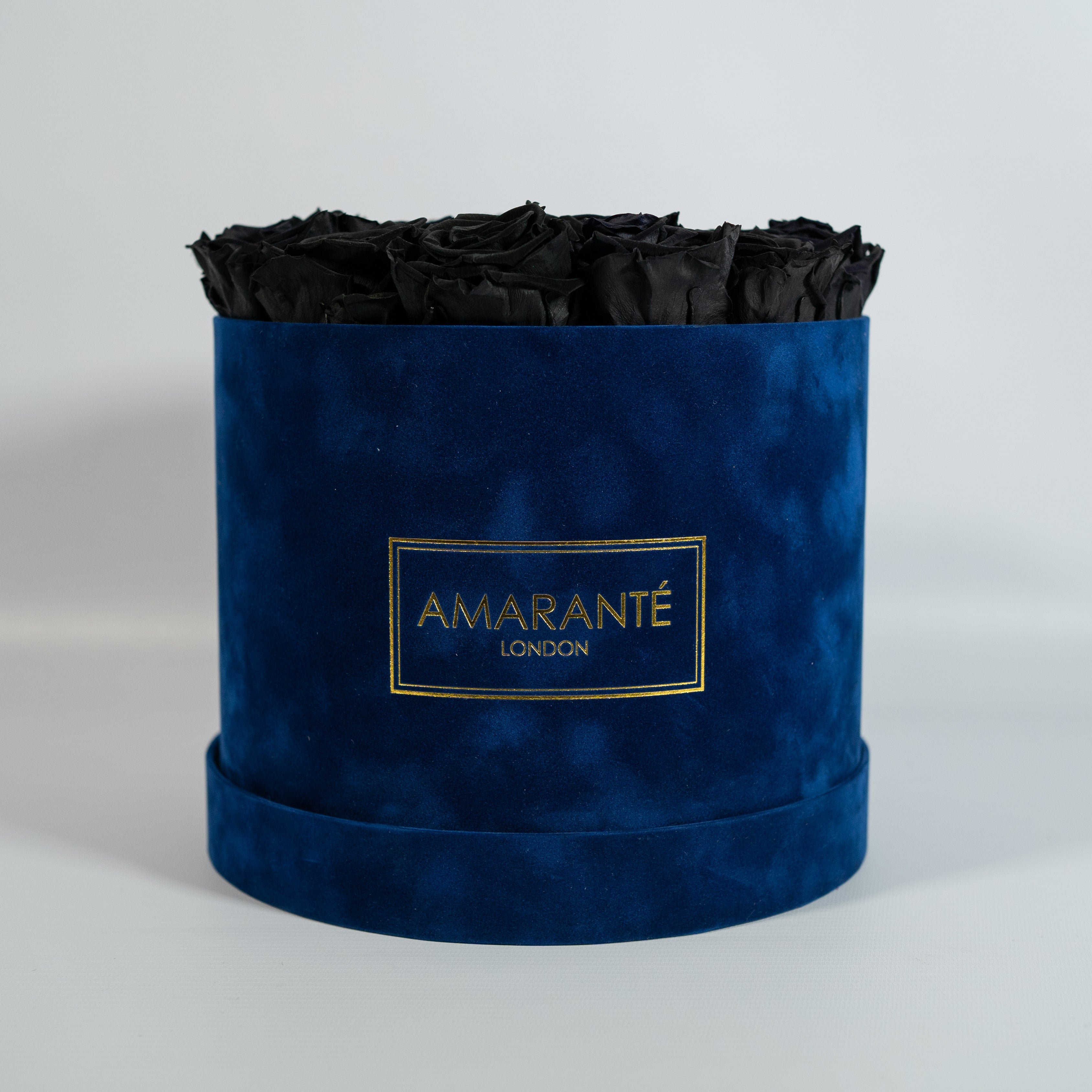 bold black Roses encompassed in a dreamy blue box 