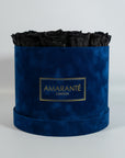 bold black Roses encompassed in a dreamy blue box 