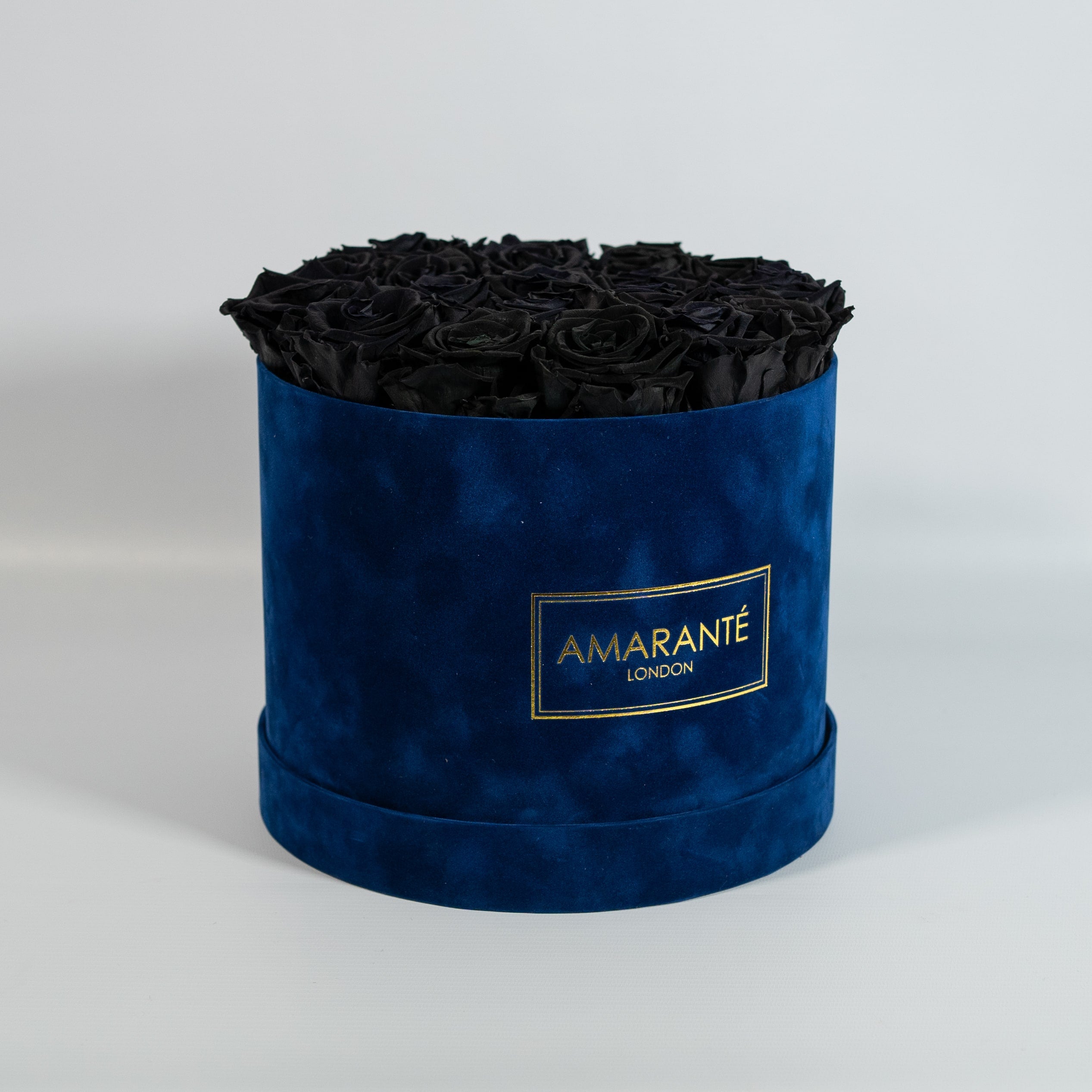 Elegant black Roses connoting elegance, power, and authority. 