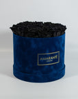 Elegant black Roses connoting elegance, power, and authority. 