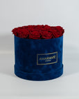 Enchanting wine red Roses accessible in a charming blue box 