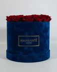 Aromatic wine red roses implying love and admiration 